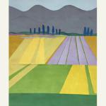 
Fields of Provence . . . . .  
38" x 58" . . . . . 
Mixed media . . . . . 
SOLD . . . . . 
Copyright 2007-2023 Kelly Ayers Sheehan. All rights reserved.